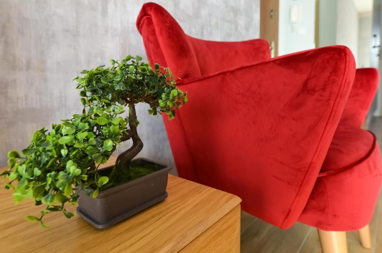Beskid Apartment 什切尔克 外观 照片